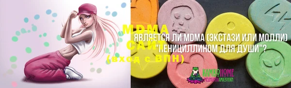 тгк Абаза