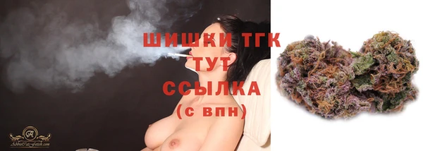 тгк Абаза
