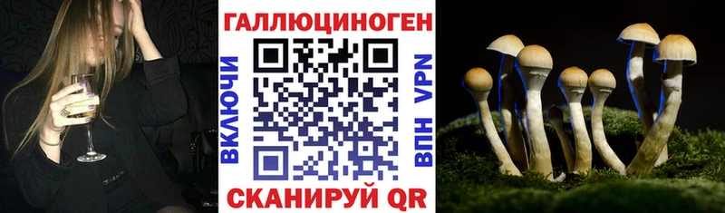 магазин    Мыски  Галлюциногенные грибы Psilocybine cubensis 