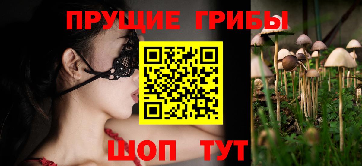Псилоцибиновые грибы мицелий  продажа наркотиков  Мыски  Вход с VPN 